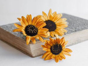 flowers on book