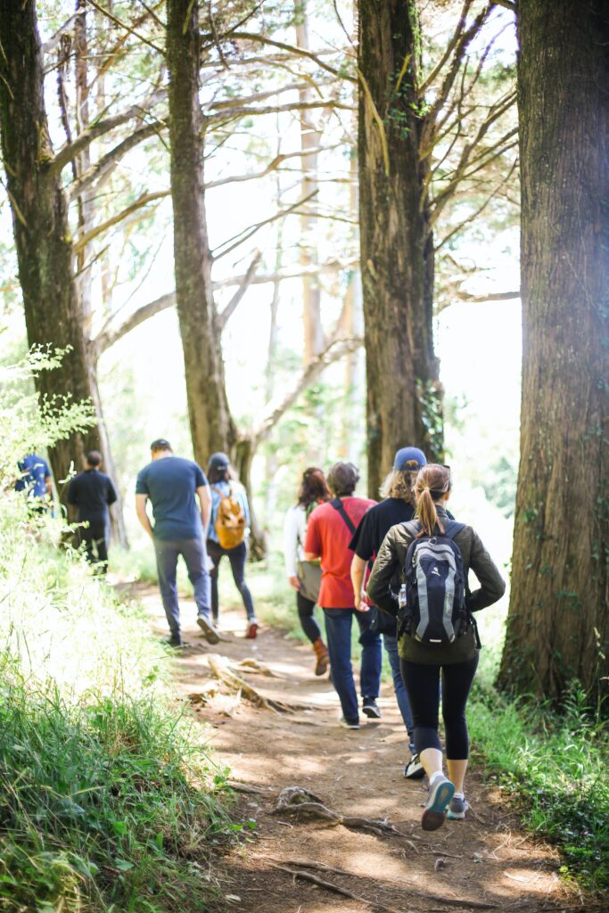 Walking Group