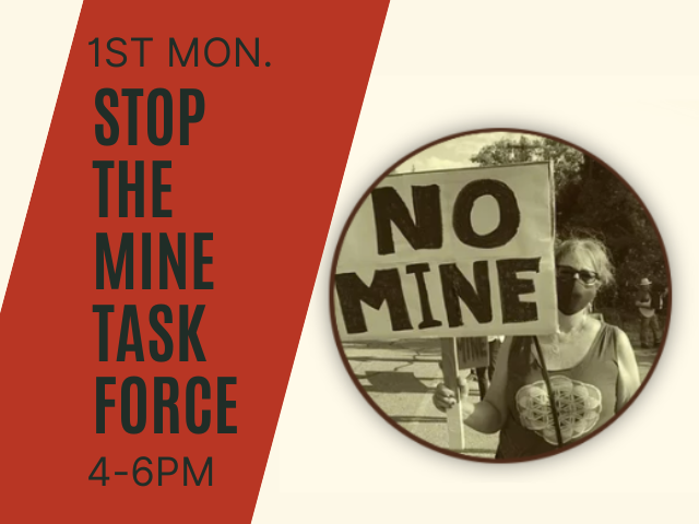 The Stop the Mine Task Force Makes a Major Contribution