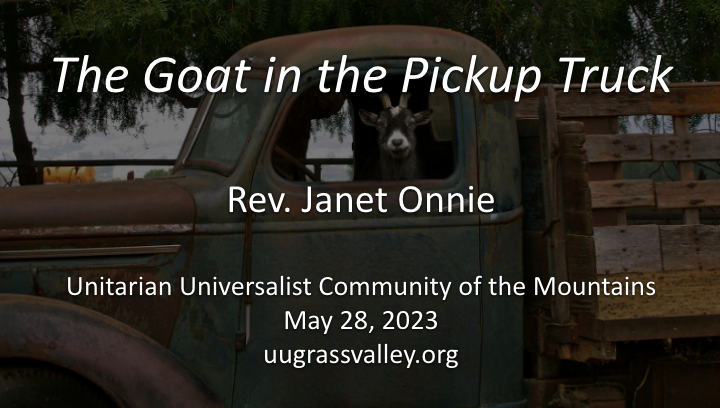 The Goat in the Pickup Truck