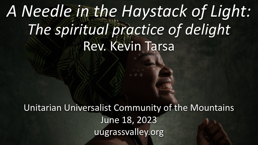 A Needle in the Haystack of Light: The spiritual practice of delight