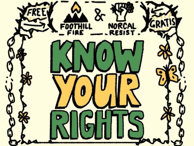 Know Your Rights Workshop