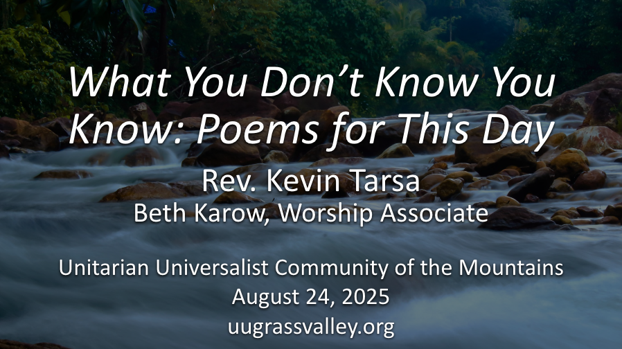 What You Don’t Know You Know: Poems for This Day