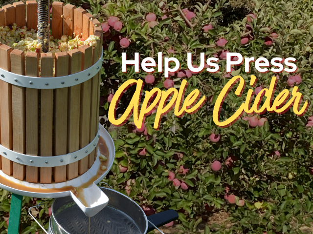 apple orchard with cider press in foreground "Help us Press Apple Cider"