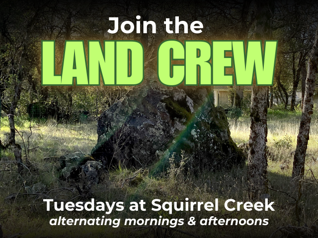 Join the Land Crew Tuesdays at Squirrel Creek alternating mornings & afternoons